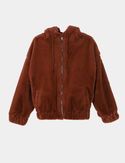 Picture of Hoodied Teddy Jacket  w12027903 