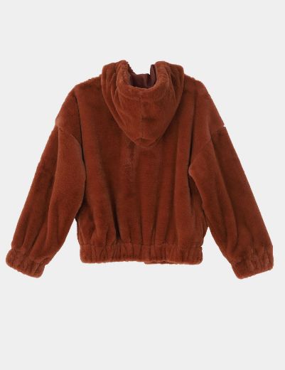 Picture of Hoodied Teddy Jacket  w12027903 