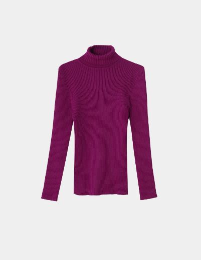 Picture of ribbed turtleneck basic w11482527 