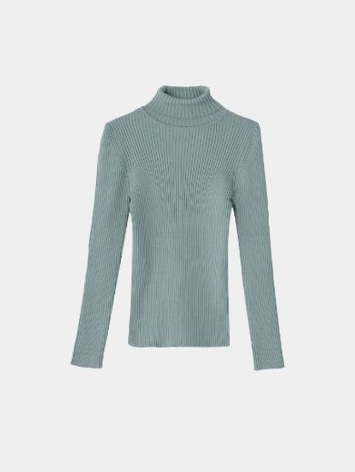 Picture of ribbed turtleneck basic w11482527 