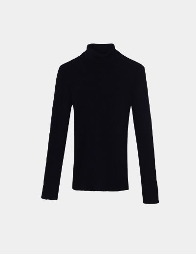 Picture of ribbed turtleneck basic w11482527 