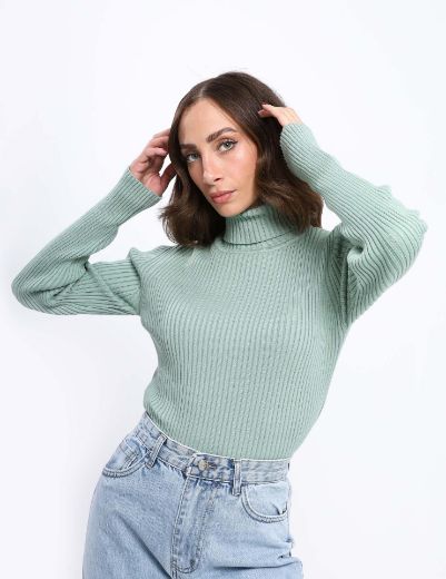 Picture of ribbed turtleneck basic w11482527 