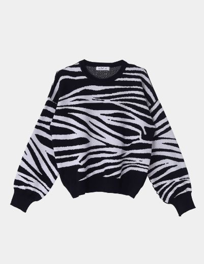 Picture of zebra pattern pullover sweater  w11482509 