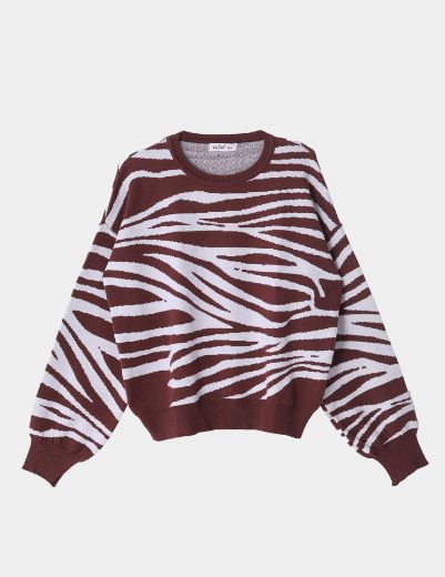 Picture of zebra pattern pullover sweater  w11482509 