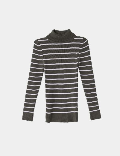 Picture of striped turtleneck basic sweater w11482505 