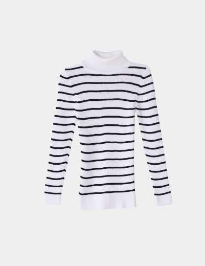 Picture of striped turtleneck basic sweater w11482505 