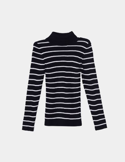 Picture of striped turtleneck basic sweater w11482505 