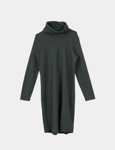 Picture of turtleneck long sweater  w12044231 