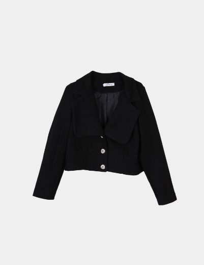 Picture of cropped jacket  w11464014 