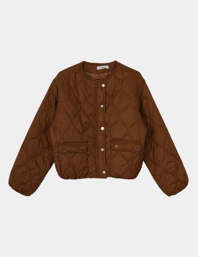 Picture of QUILTED JACKET w11456015 