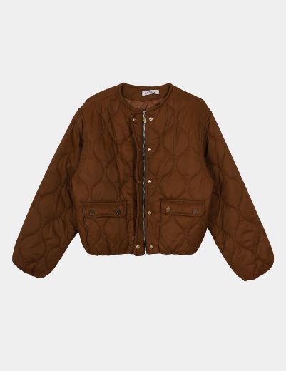 Picture of QUILTED JACKET w11456015 