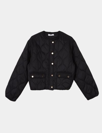 Picture of QUILTED JACKET w11456015 