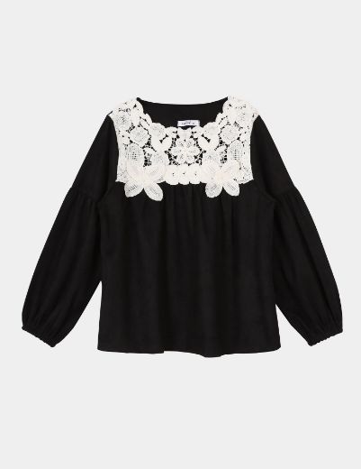 Picture of  lace blouse  w11456020 