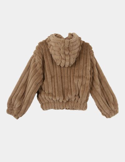 Picture of Ribbed teddy  hooded jacket w1207540 