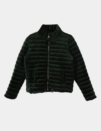 Picture of velvet puffer jacket w1182813 