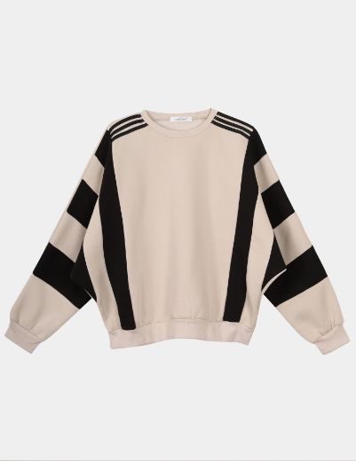 Picture of stripped sweatshirt w1209056 