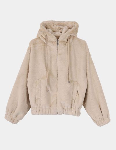 Picture of  teddy hooded jacket  w1207504 