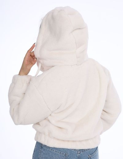 Picture of  teddy hooded jacket  w1207504 