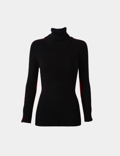 Picture of Turtleneck Top  w11482565 