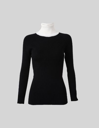 Picture of Turtleneck Top  w11482565 