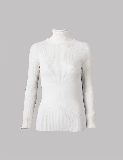 Picture of Turtleneck Top  w11482565 