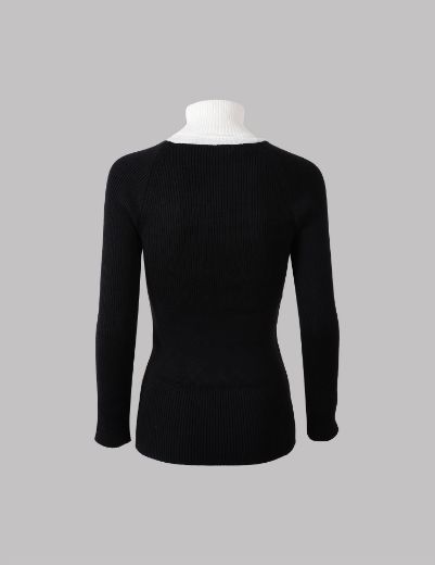 Picture of Turtleneck Top  w11482565 